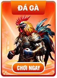 Nhà Cái NET88 5 net88 đá gà